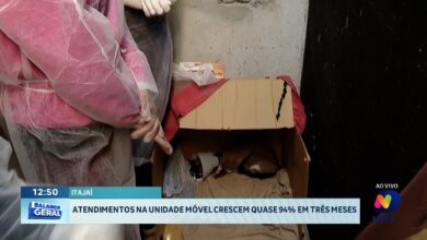 Unidade móvel amplia atendimentos sobre esporotricose em Itajaí